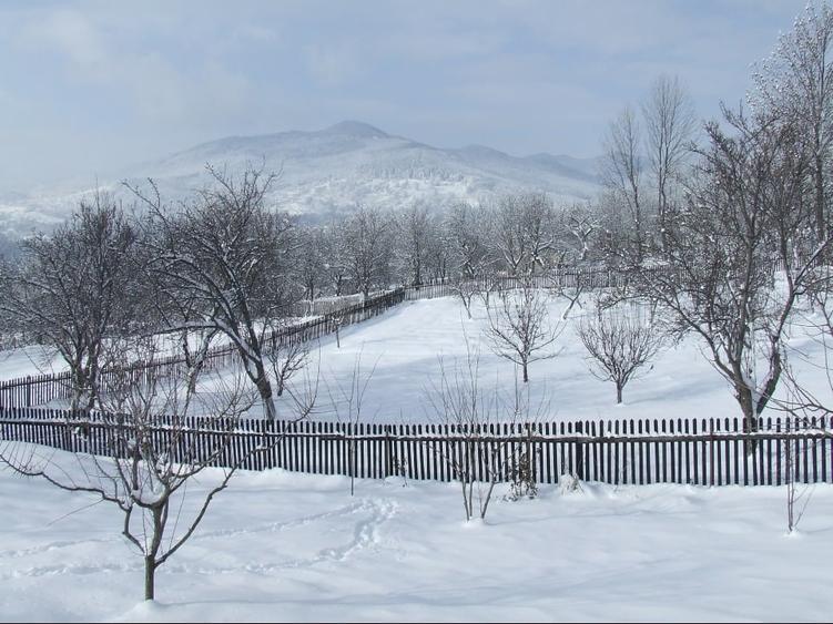 CASĂ DE VACANȚĂ ÎN COMARNIC - 9