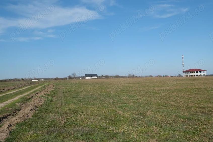 Super ocazie ! Ganeasa langa Balta si padure, 1.075 mp. teren intravilan - 5