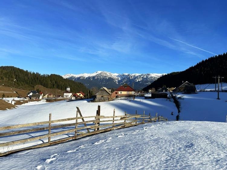 Teren intravilan 8400 mp, Fundata, zona Bran -  Moieciu - 12