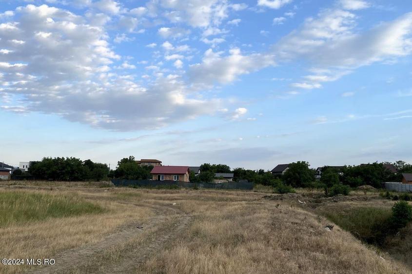 Tamasi, langa padure, 12.824 mp, deschidere 45 ml, teren cu potential! - 7