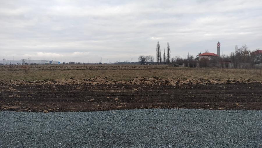 Inchiriez teren 4310 mp in Ghiroda - 3