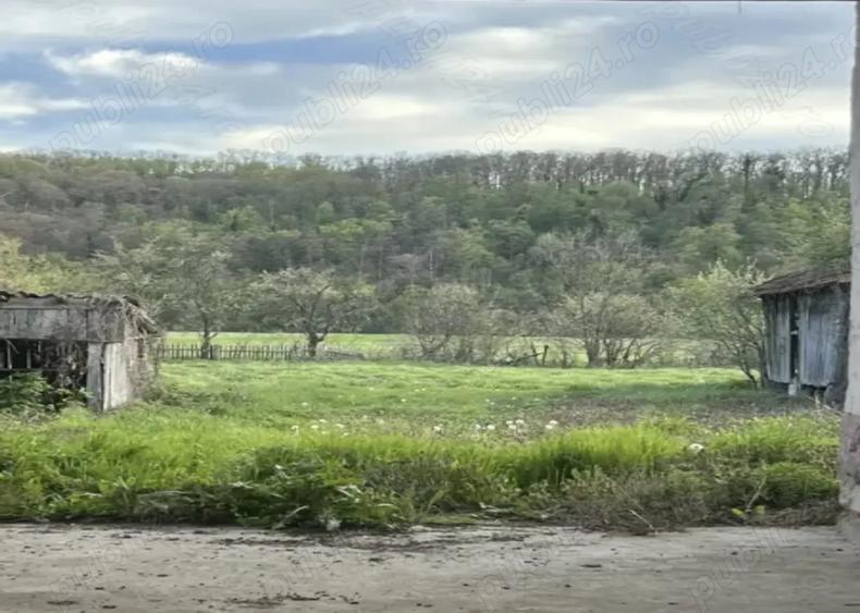 Casa cu cerdac ,gradina mare 3217 si teren 4000 mp un total de 7217 mp.Curent trifazic. - 1