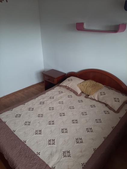 Piata Muncii-Campia Libertatii stradal - 13