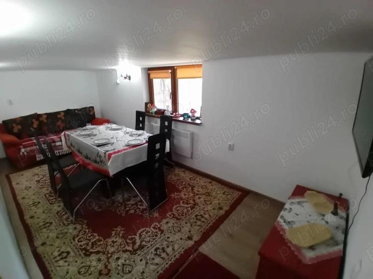 Casa Cheia Baile Olanesti Valcea - 16