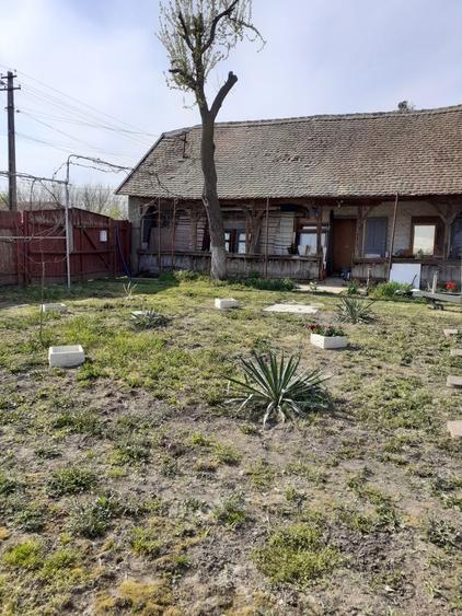 Oportunitate pentru visul tau - 1