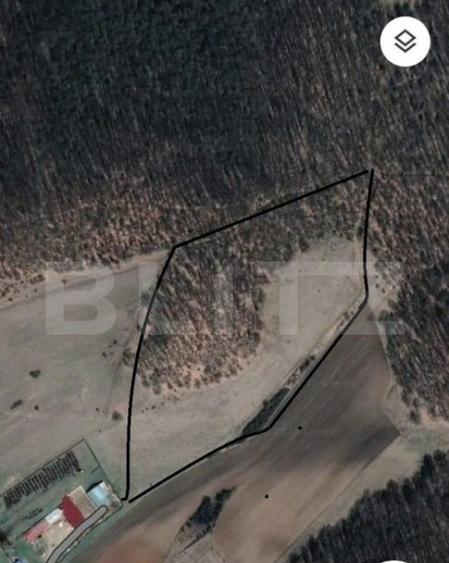 Teren extravilan 5 ha, din care 2.5 padure si 2.5 pasune, zo - 1