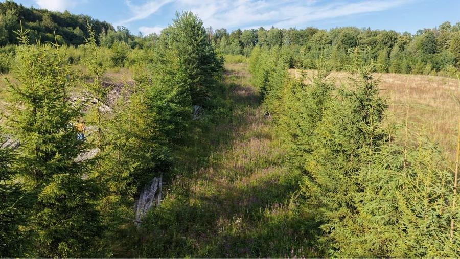 Vand teren hardic - 5