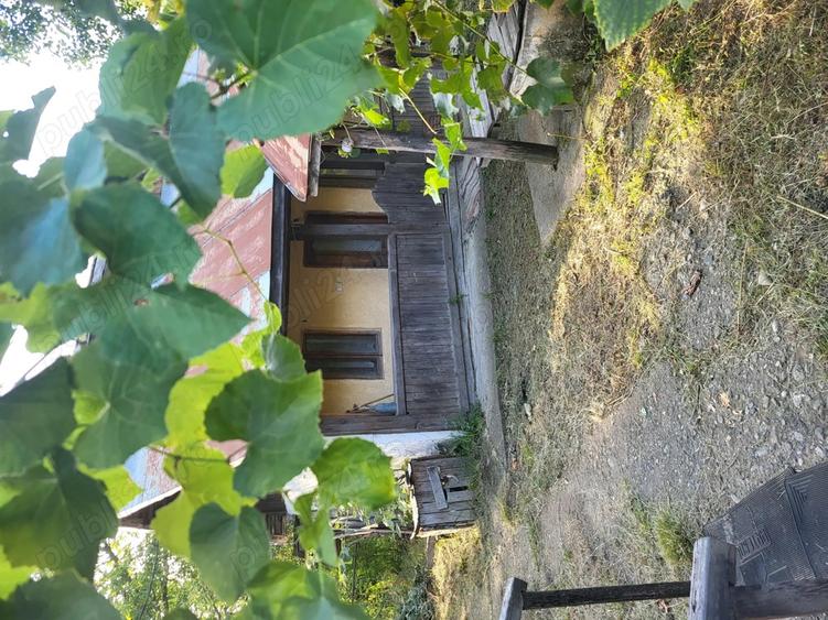 Casa de vanzare la tara - 1