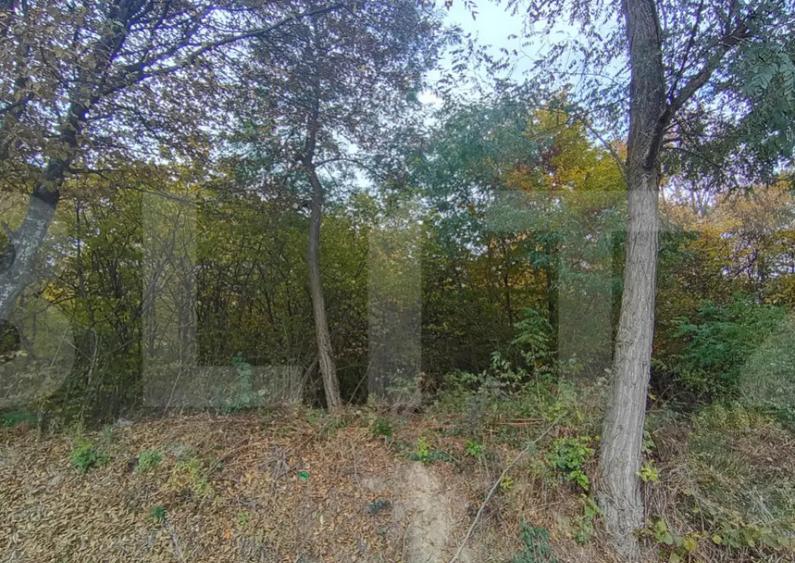 Teren de investitie 1256 mp - 2
