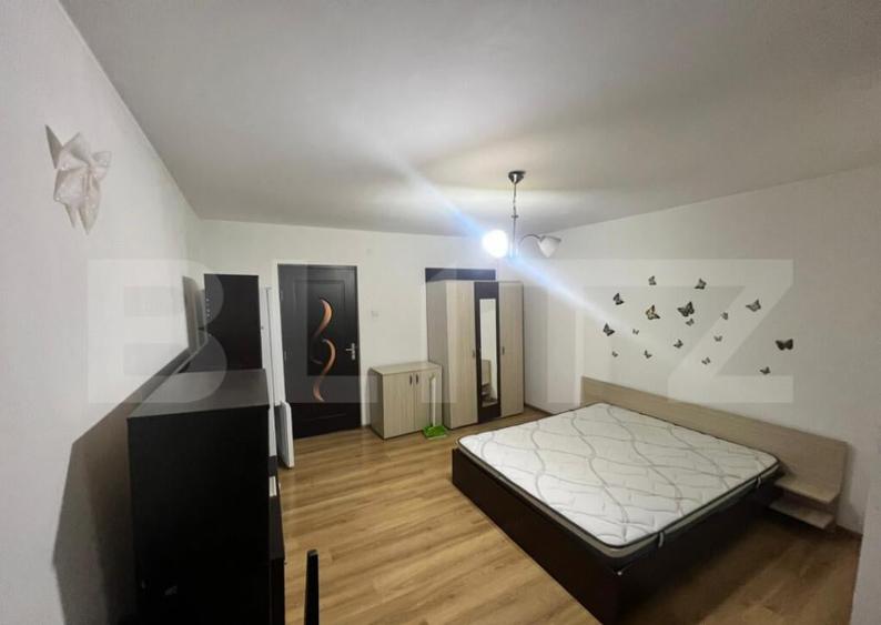 Garsoniera Brazda lui Novac - 2