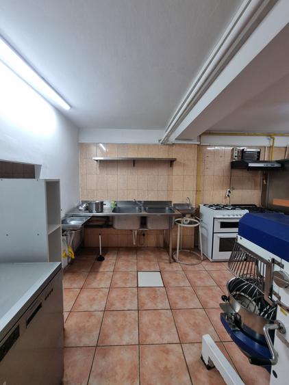 Vila - Parcul Carol - 13 Camere - Pretabil Gradinita - Autorizata - 35