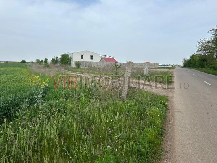 Comuna Dascalu - A0 - teren intravilan 9000 mp - 5
