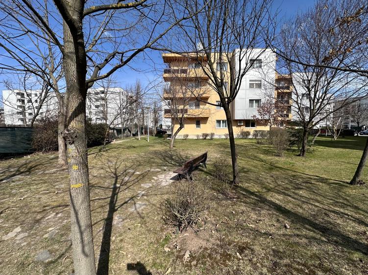 Parter cu vedere la padure - 1