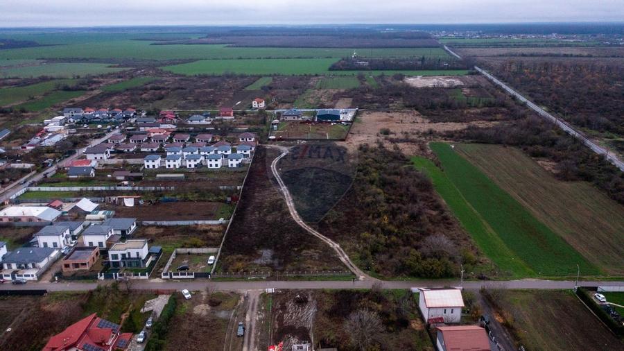 Vanzare teren intravilan 10.000mp Afumati - Strada Teiului - 2