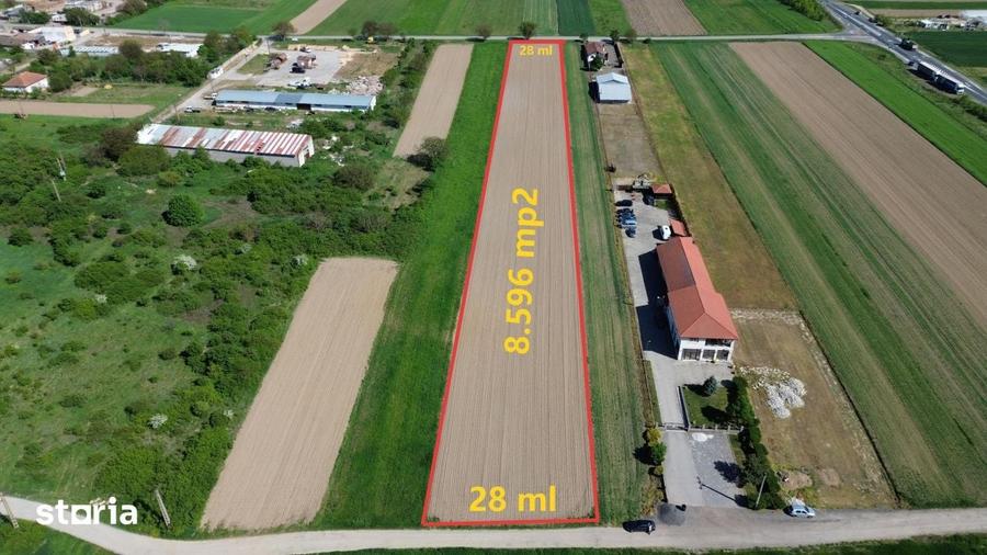 Teren de 8596 mp, în Gavojdia