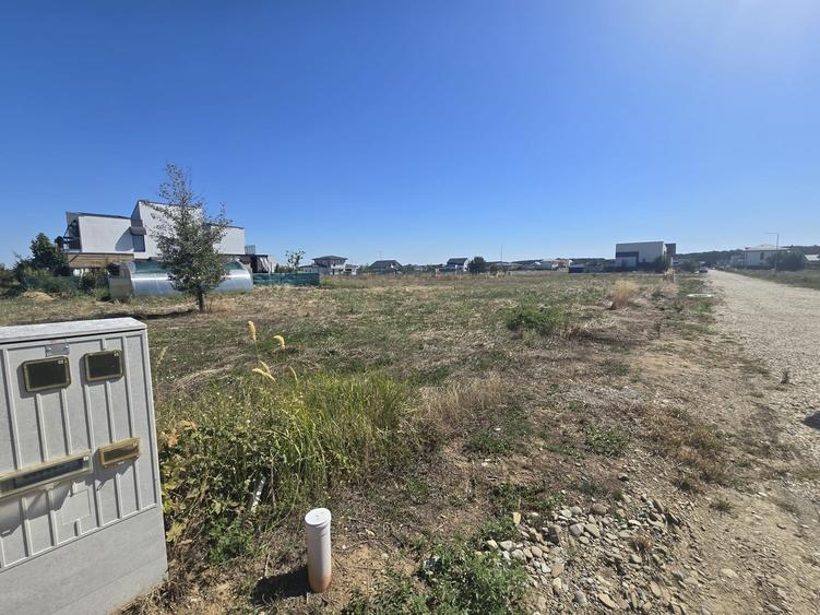 Gulia, Tartasesti, Eden Forest Residence,Samurcasi - 11