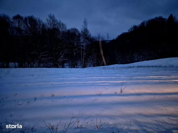 Teren 5000 mp extravilan Sinca Noua - 6