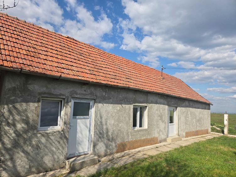 Casa de vanzare Sanmartin Jud Arad - 4