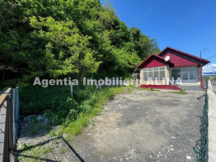 Spatiu comercial spre iesire din Loc. Deva (spre Mintia) zona Izvorul Decebal, Jud. Hunedoara. - 7