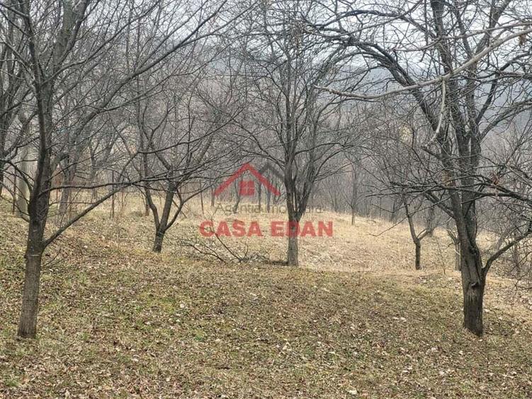 Teren intravilan in Breaza,1358 mp, 40.000e - 3