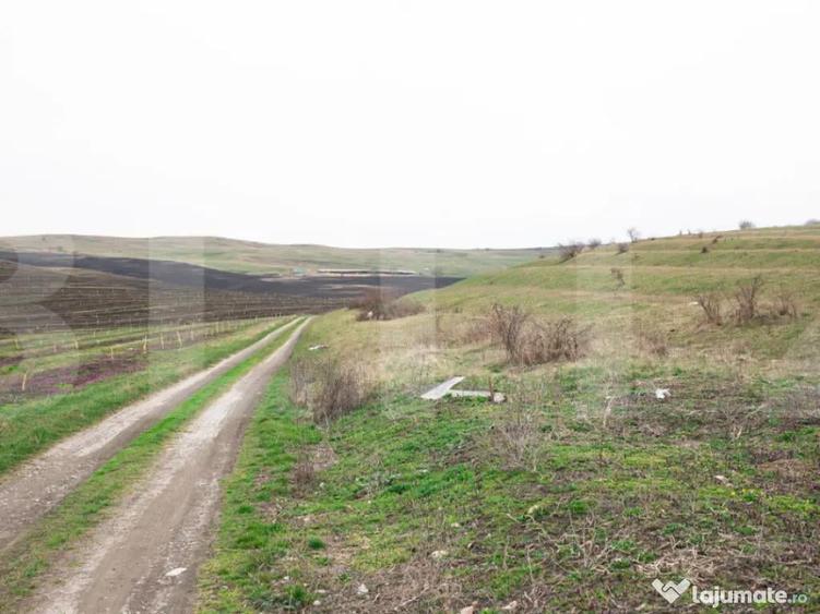 Teren 5800 mp in Campene?ti cadru natural deosebit, i - 4