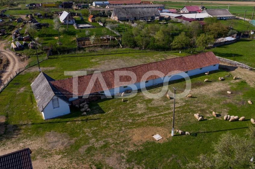 Microferma cu locuinta de vanzare in Pianu de sus - 16