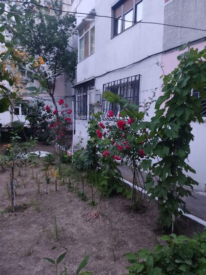 Vand apartament cu doua camere situat la parterul blocului C4 Micro 39C Galati - 1