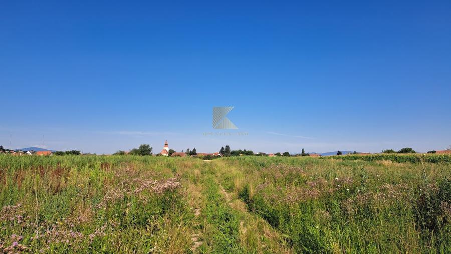 Posibilitate RATE | Teren Bod | curti constructii | utilitati | PUZ, - 13