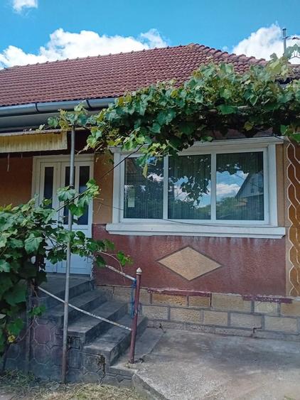 Vand casa la tara - 5