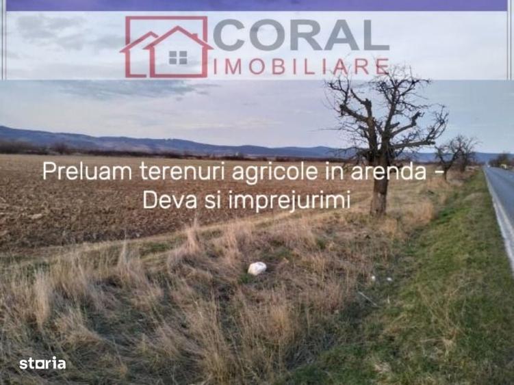 Spațiu comercial, în Decebal