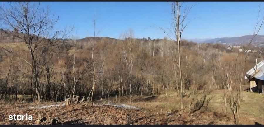 Teren de vanzare Poiana Campina - 1