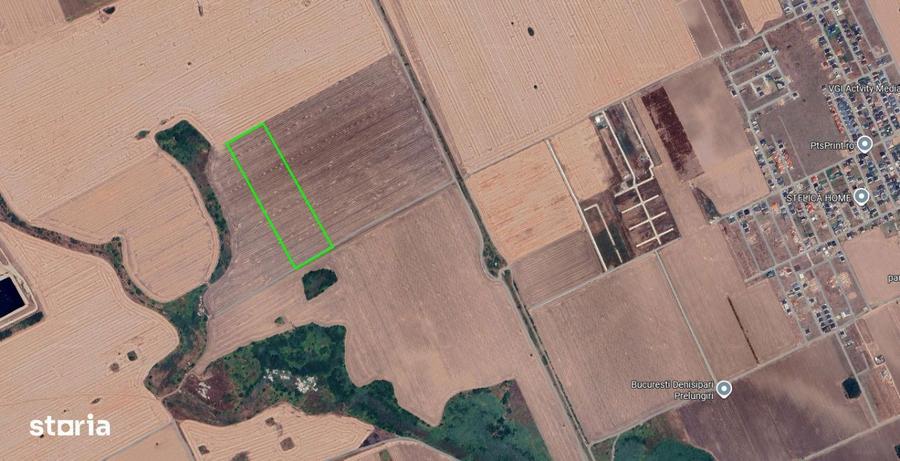 Teren Extravilan Sf. Ana, Drum Radial 9 | 2,2ha - 1