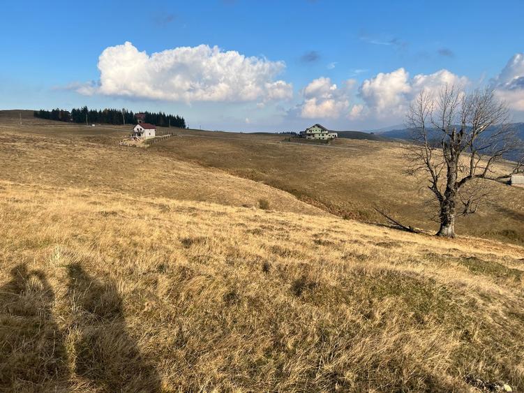 Teren de vanzare ideal pentru cabana Zona Valari, Paltini?(6131 m) - 2