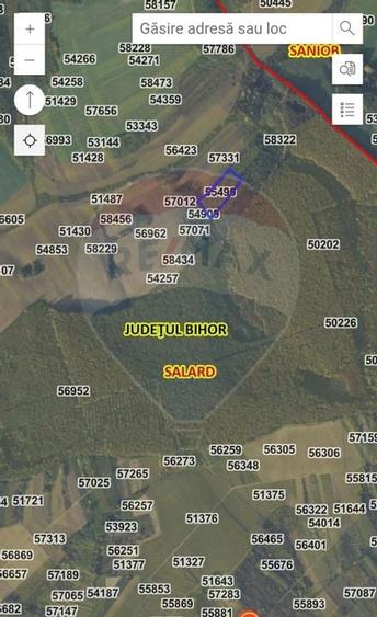 Teren forestier 15,618 mp Santimreu / com. Salard - 10