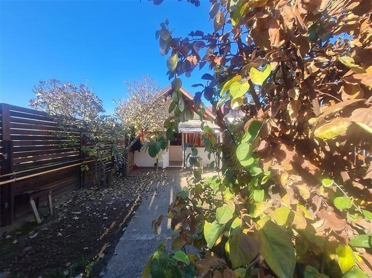 Rezidential/Investitional, 2 casute individuale incadrate de 300 mp teren - 9