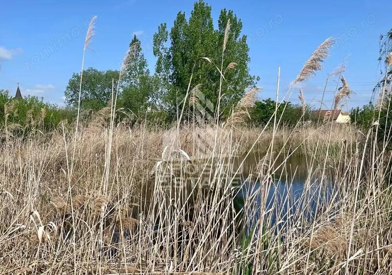 Casa individuala cu curte individuala si gradina - Zona Gai - 19