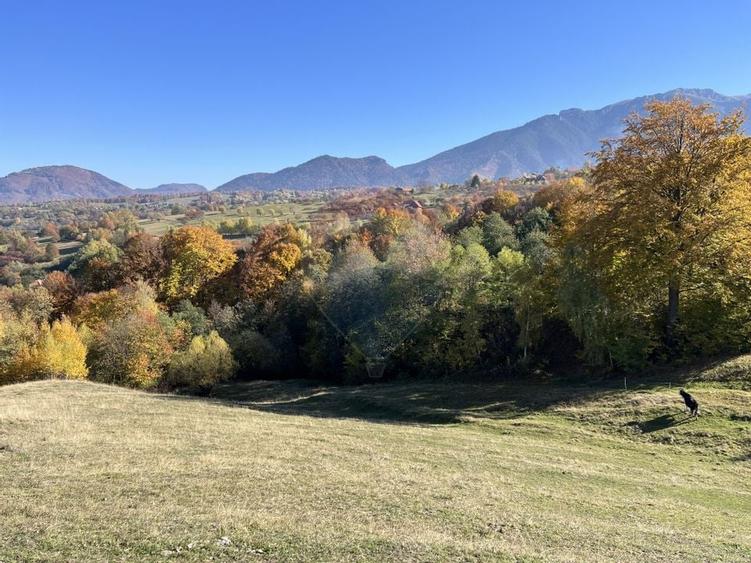 Teren 3,500mp Bran / Strada Bradul Inalt - 9