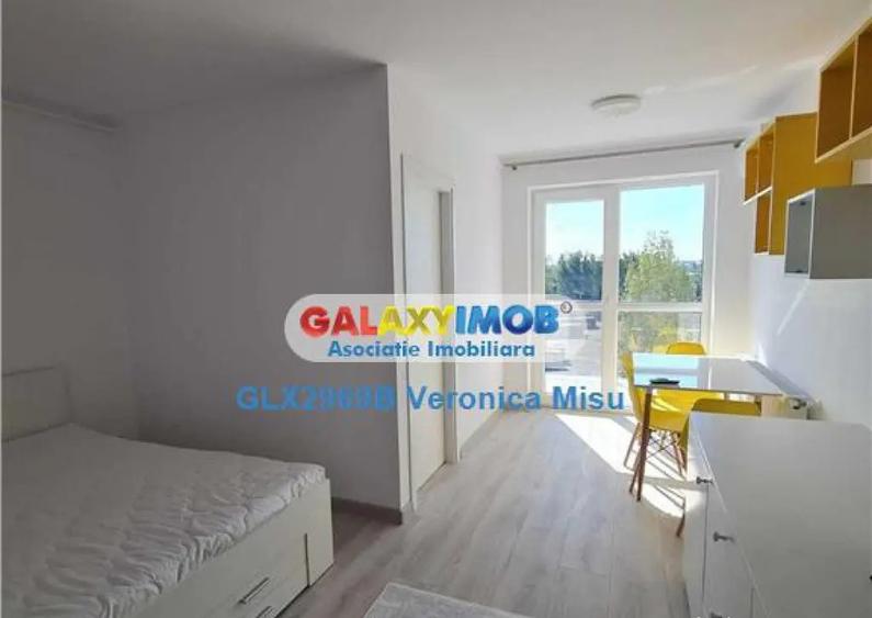 Garsoniera de inchiriat - Hils -Theodor Pallady - 1