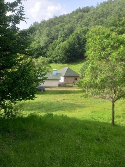 Casa, teren si padure de vanzare-40.000 mp, direct proprietar in Apuseni. - 2