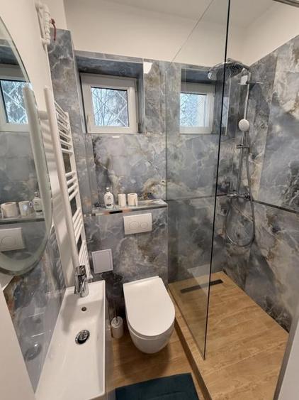 Apartament la parter ideal birou in Plopilor - 10