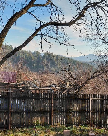 Casa 3 camere zona munte Bozioru, Buzau - 17
