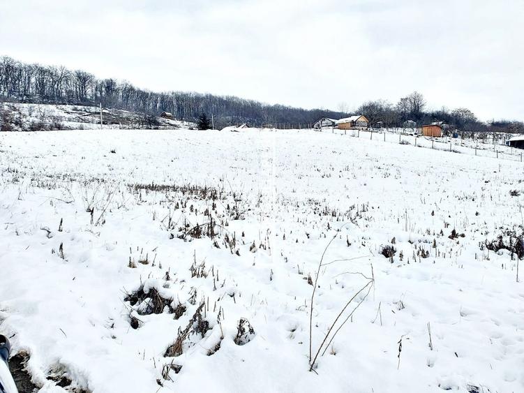 Teren intravilan 1.500 mp. Corunca Valea Iubirii 65 euro mp - 6