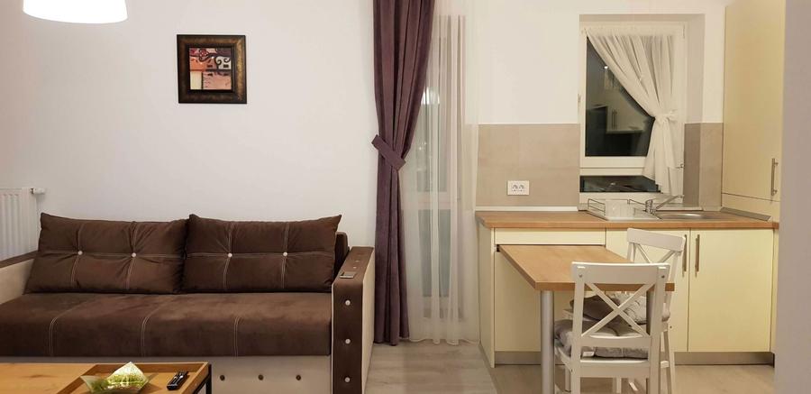 Inchiriat de proprietar 2 camere/studio Kasper - 6