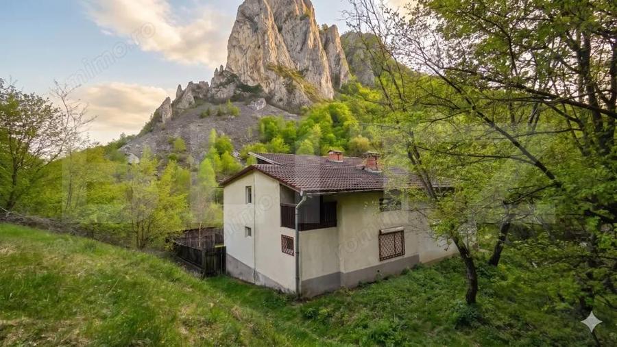 Cabana de poveste in Rame? | 2000 mp teren + rau pe proprietate | ideala pent - 1