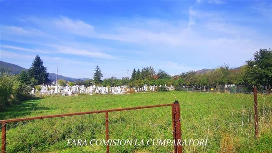 VLADESTI - LIVADA PRIMARIE, TEREN 626 MP - 4