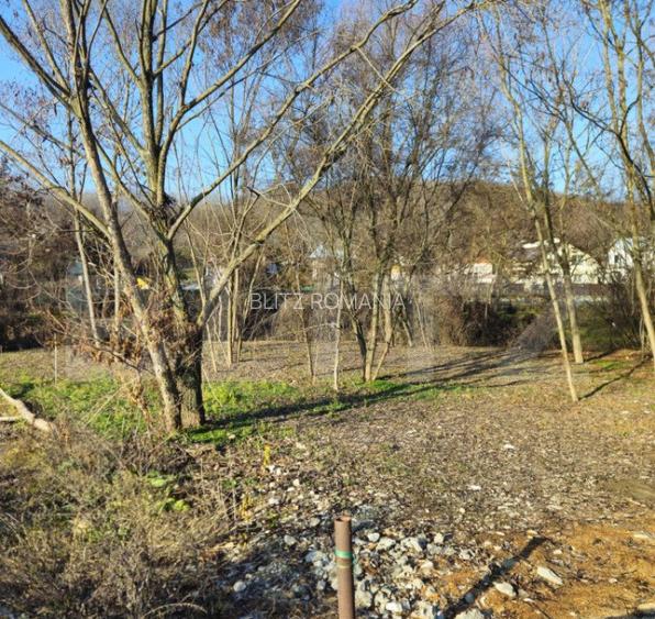 Teren intravilan 738 mp, zona Viforata, Comision 0