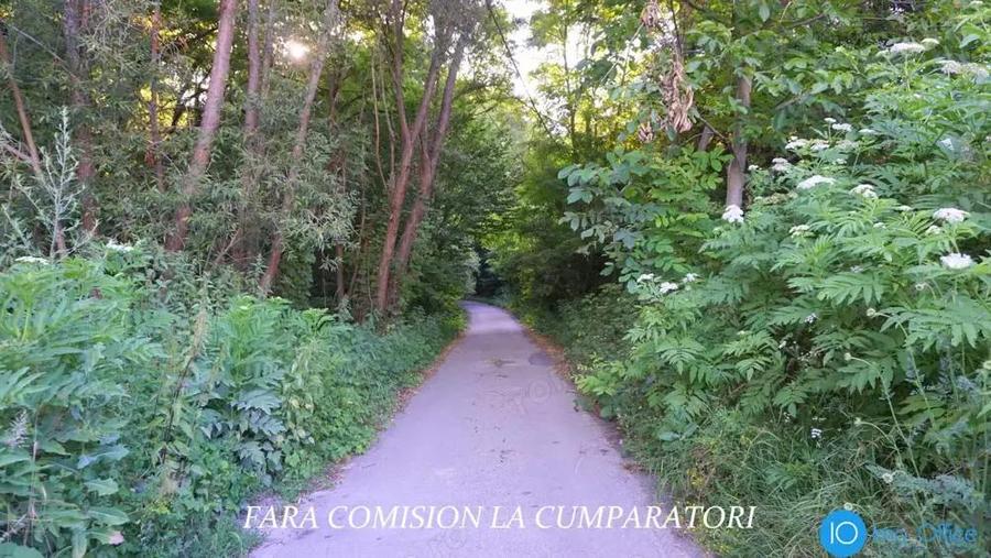 TEREN 6700 MP, INTRAVILAN LANGA PADURE - 10