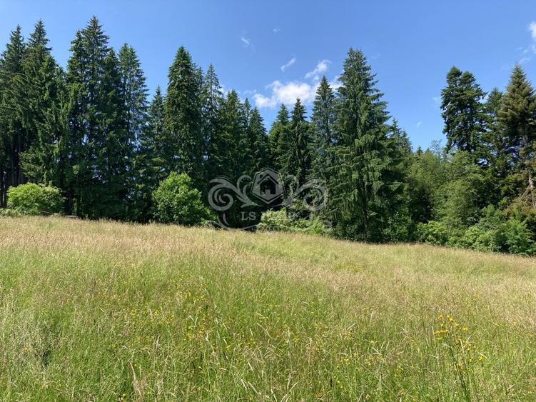 Vand teren intravilan Predeal, Timisul de Sus ideal obiective turistice - 9