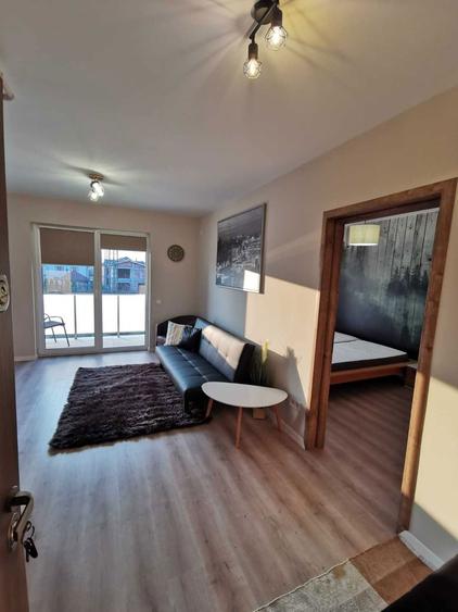 Apartament de inchiriat cu 2 camere zona Marul de Aur, Lamaitei, complet mobiliat si utilat - 7