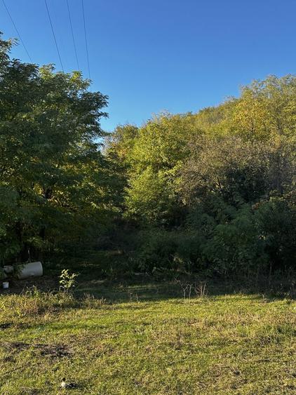 Vand teren, intravilan 800 mp - 4